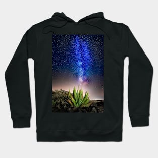 Aloe Vera Plant with Milky Way Hoodie